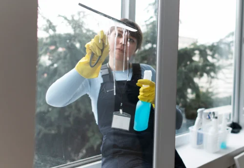 Nettoyage de vitres intérieures et extérieures à Agris